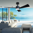 Bronte 52 DC Ceiling Fan - Black with Light