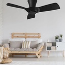 Kiwi 30 Ceiling Fan - No Light - Black