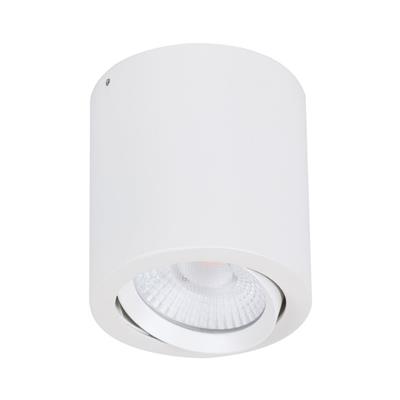 NEO-SM TILT 20W LED S/MOUNTED WHT