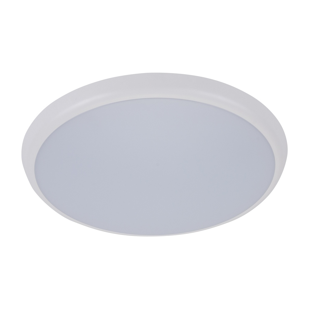 SOLAR-RD-300 25W LED OYS WHT