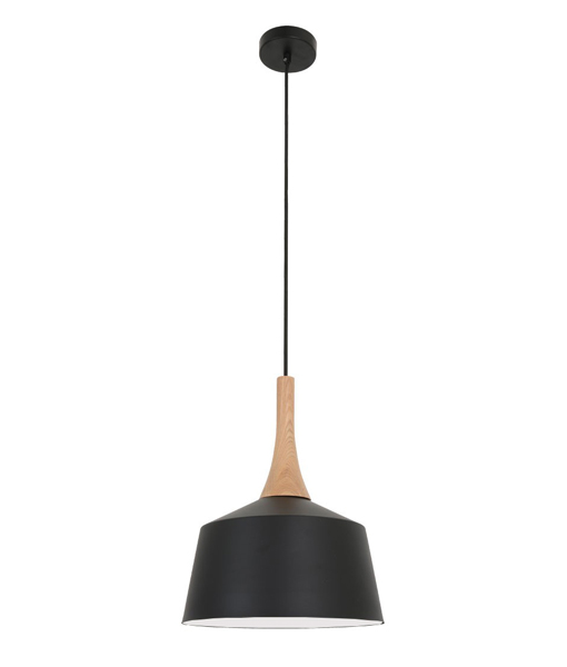 Pendant Light ES Small Angled Dome OD270mm