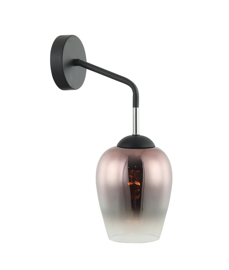 Wall Light Interior Surface Mounted ES Glass with Black Iron Bracket