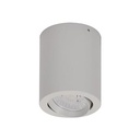 NEO-SM TILT 10W LED S/MOUNTED WHT