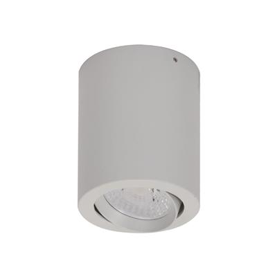 [21298] NEO-SM TILT 10W LED S/MOUNTED WHT