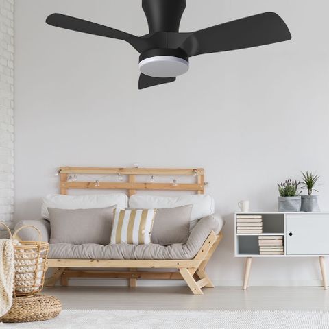 [5507063] Kiwi 30 Ceiling Fan - with Light - Black